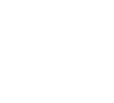 Fingerprint icon